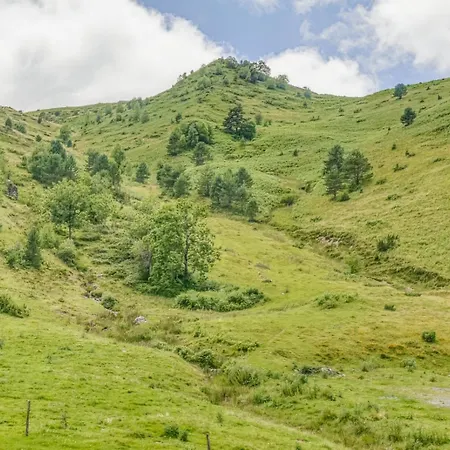 Alpin A 200m Des Pistes Apartment *